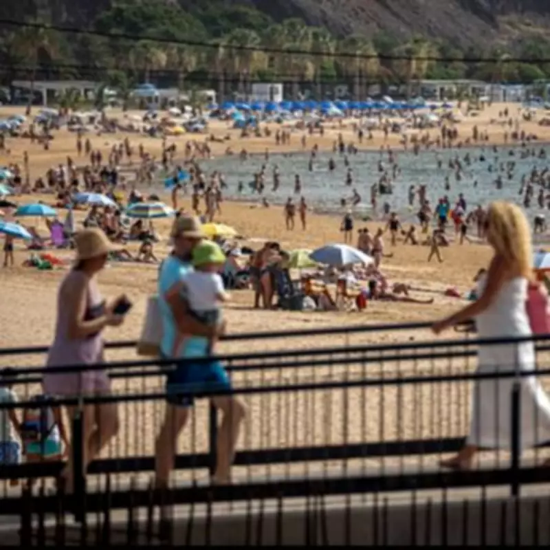 Tenerife Emergency Expands: Three More Canary Islands on Alert