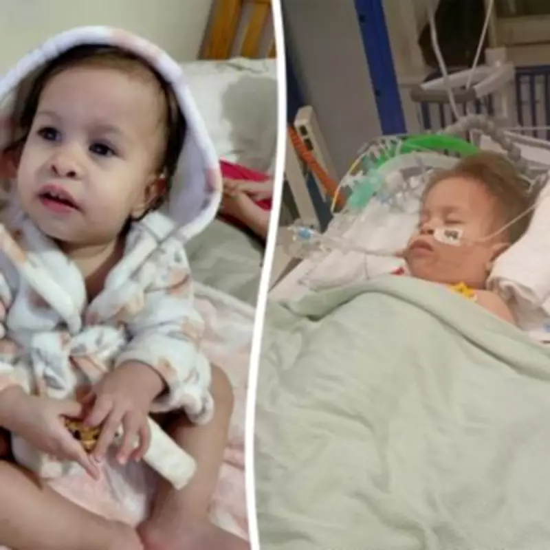 Toddler Suffers Brain Injury After Choking on Strawberry During UK Holiday