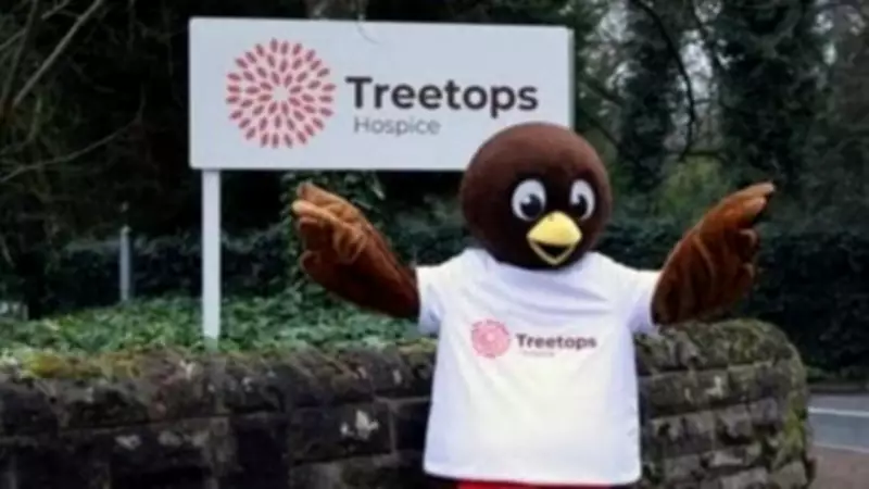 Treetops Hospice Unveils New Robin Mascot and Launches Public Naming Contest