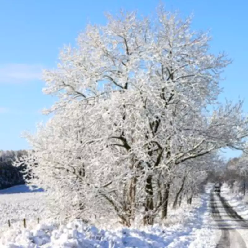 UK Braces for March Snow: 27 Counties Including Midlands on Alert