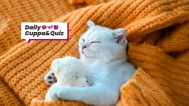 Vincent van Gogh's Birthday and Daily Trivia Challenge for March 29