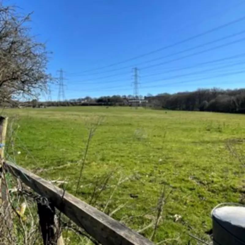 Walsall Council's £81,555 Battle Over Green Belt Battery Storage System