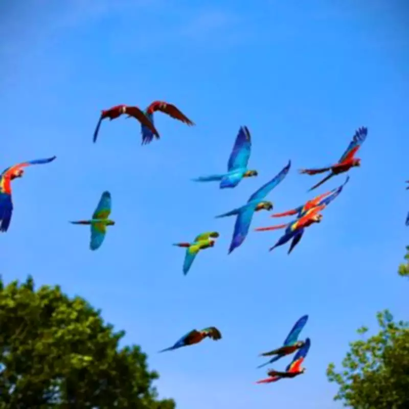 Wild Zoological Park Celebrates 10th Birthday with £5 Kids Tickets