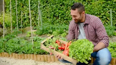 Beginner's Guide to Starting a Vegetable Patch in the UK