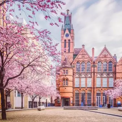 Birmingham's First Japanese Cherry Blossom Makers Market Arrives This Weekend