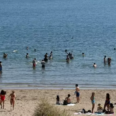 Brits Urged to Check Sunscreen Expiry Symbol Before Summer Use