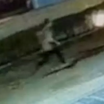 CCTV Shows TOWIE Star Jordan Wright's Final Moments Before Thailand Death