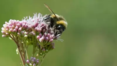 Celebrating Women in Conservation on International Women's Day
