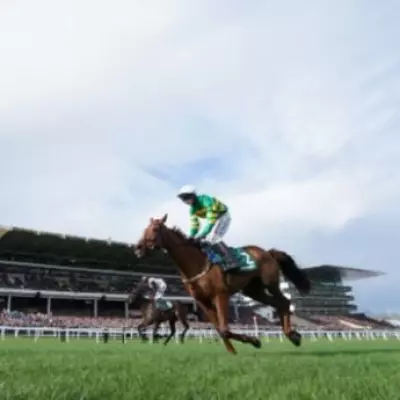 Cheltenham Racecourse Cancels Final Fixtures for Major Drainage Upgrade
