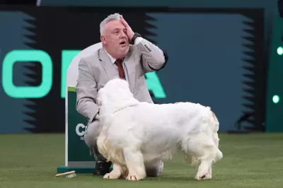 Crufts 2026 in Birmingham: Best in Show Winner Revealed with Stunning Photos