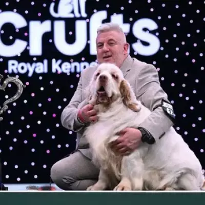 Crufts Best in Show Winner Lee Cox Has Past Animal Cruelty Conviction