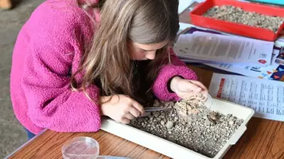 Free Family Festival Returns to Cressing Temple Barns This July