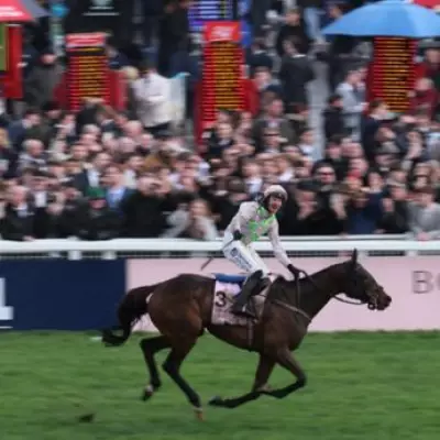 Irish Pensioner Wins £485,000 from 43p Bet at Cheltenham Festival