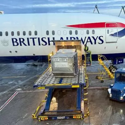 Major Airlines Issue Travel Warnings for UAE Flights Amid Regional Conflict