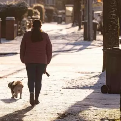 New Dog Walking Law in England and Wales Imposes Unlimited Fines from Wednesday