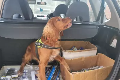 Police Dog's Wolverhampton Bust: Illegal Vapes, Cigarettes, and Make-up Seized