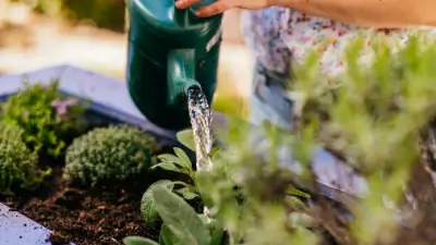 Renters' Guide to Spring Gardens: 9 Expert Tips for Tenants