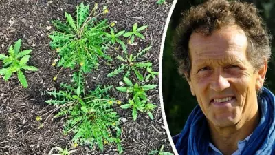 Spring Garden Weeding Guide: Expert Tips for a Flourishing Plot