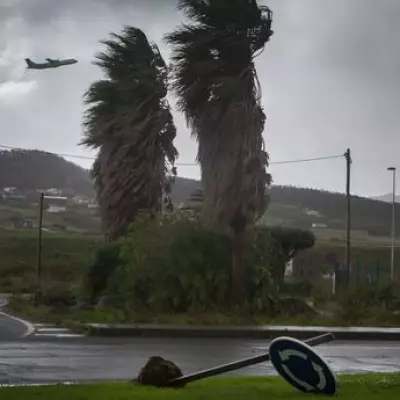 Storm Therese Brings Chaos to Tenerife: Flights Cancelled, Tourists Stranded