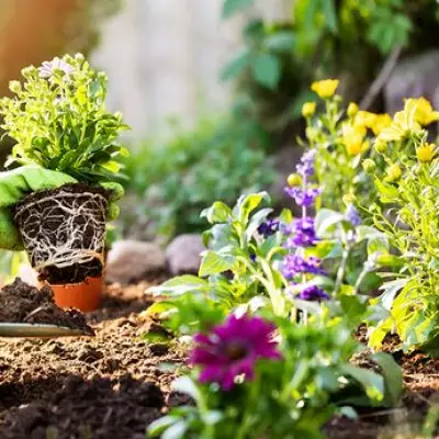 Subscribers Get £10 Free at YouGarden for Spring Gardening