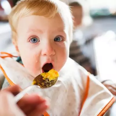 Urgent Recall: Popular Baby High Chair Poses Serious Injury Risk