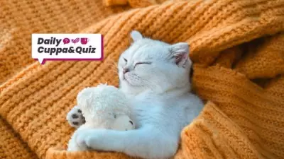 Vincent van Gogh's Birthday and Daily Trivia Challenge for March 29