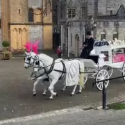 Birmingham Bus Stop Stabbing Victim Katie Fox Laid to Rest in 'Princess Funeral'