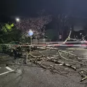 Birmingham's Lucky Escape as Storm Topples Trees, Disrupting Roads and Rail