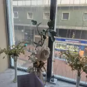 Birmingham's 'Zombie Quarter': The Story Behind New Street's Empty Shops