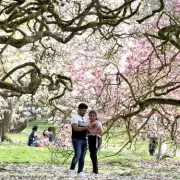 Clocks Spring Forward: Birmingham's First 8pm Sunset Date Revealed for 2026