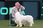 Crufts 2026 in Birmingham: Best in Show Winner Revealed with Stunning Photos
