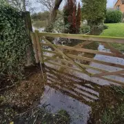 Disabled Woman Trapped for Days After Flooding Blamed on Overdevelopment