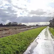 Divers Search River Nene After Car Crash Leaves Two Teenagers Missing