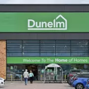 Dunelm's £80 Artificial Lily Bouquet Praised for Realistic Look and Cat-Friendly Nature
