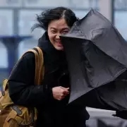 Four Midlands Areas Face 15-Hour Met Office Wind Warning