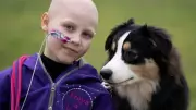 Freya Harris Defies Stage 4 Cancer to Shine at Crufts with Her Dog Echo