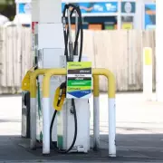 Government's Fuel Finder App Plagued by Over 100 Incorrect International Locations