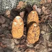 Live WWII Bomb Found in Warwickshire Garden During Burglary Probe