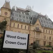 London Couple Jailed After XL Bully Dog Attacks Child, Causing Serious Injuries