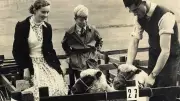 Macclesfield's Past Revealed: Rare 1960s Agricultural Show Photos Unearthed