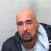 Man Jailed for 10 Years After XL Bully Dog Mauled Pensioner to Death