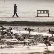 Met Office Issues Icy Conditions Alert for Birmingham Tonight