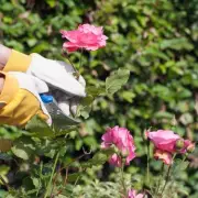 Monty Don Urges Gardeners to Prune 6 Key Plants Before March Ends