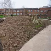Nottingham Playground Bulldozed Over Rain Safety Fears, Leaving Residents Furious