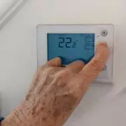 Octopus Energy's 87p LED Bulb Tip to Slash Household Energy Bills