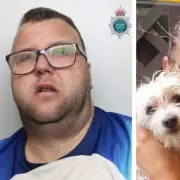 Partner Guilty of Murder After Claiming Victim 'Fell Down Stairs'