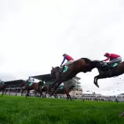 RSPCA Demands Safety Review After Hansard's Death at Cheltenham Festival