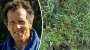 Spring Lawn Care: Moss Invasion and Monty Don's Expert Tips for a Healthy Garden