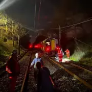 Train Passengers Evacuated Onto Tracks After Tree Fall in Penkridge