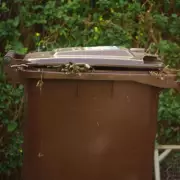 Walsall Council Delays Food Waste Collection Service Past Government Deadline